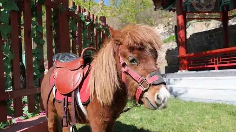 浪潮信息与英特尔联合发布全球首个全液冷冷板服务器参考设计